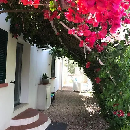 Podere 31 Apartment *