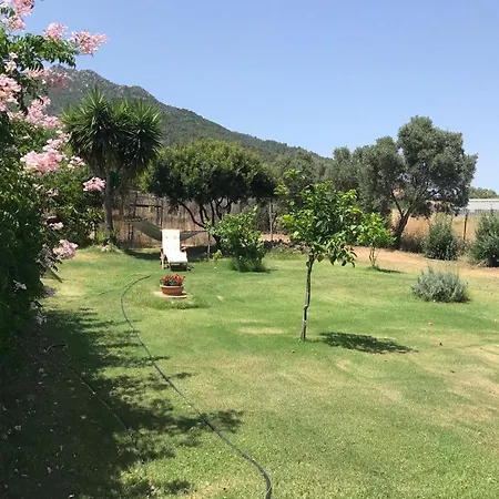 Podere 31 Apartment